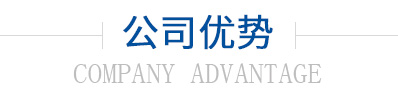 公司優(yōu)勢